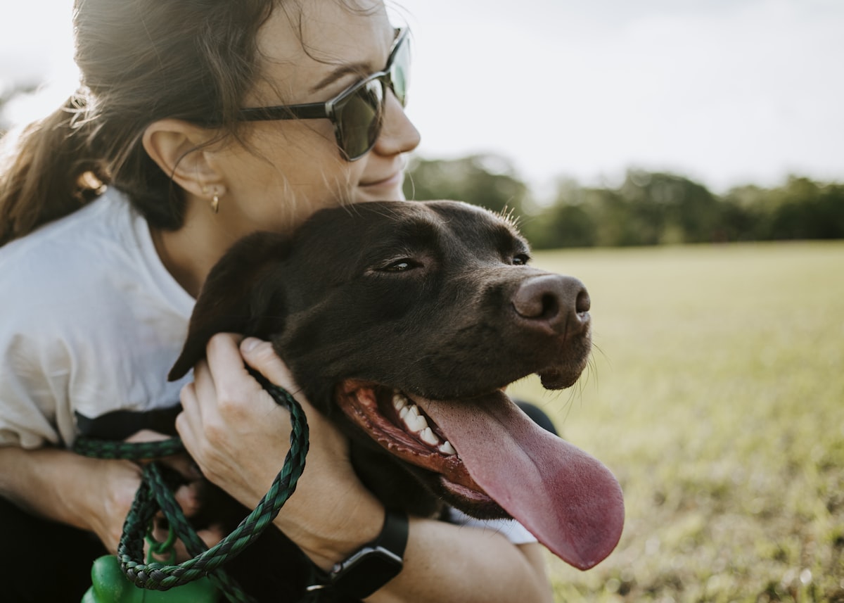 Happy dog with its owner