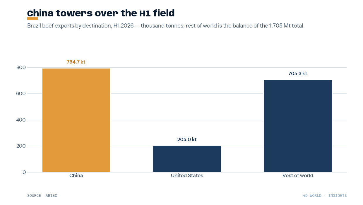 Brazil H1 2026 beef exports by destination