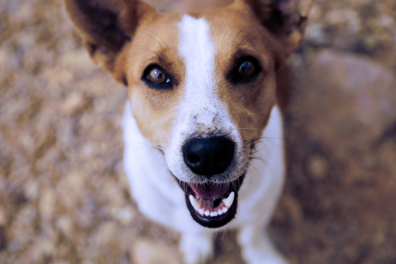 The customer that matters most