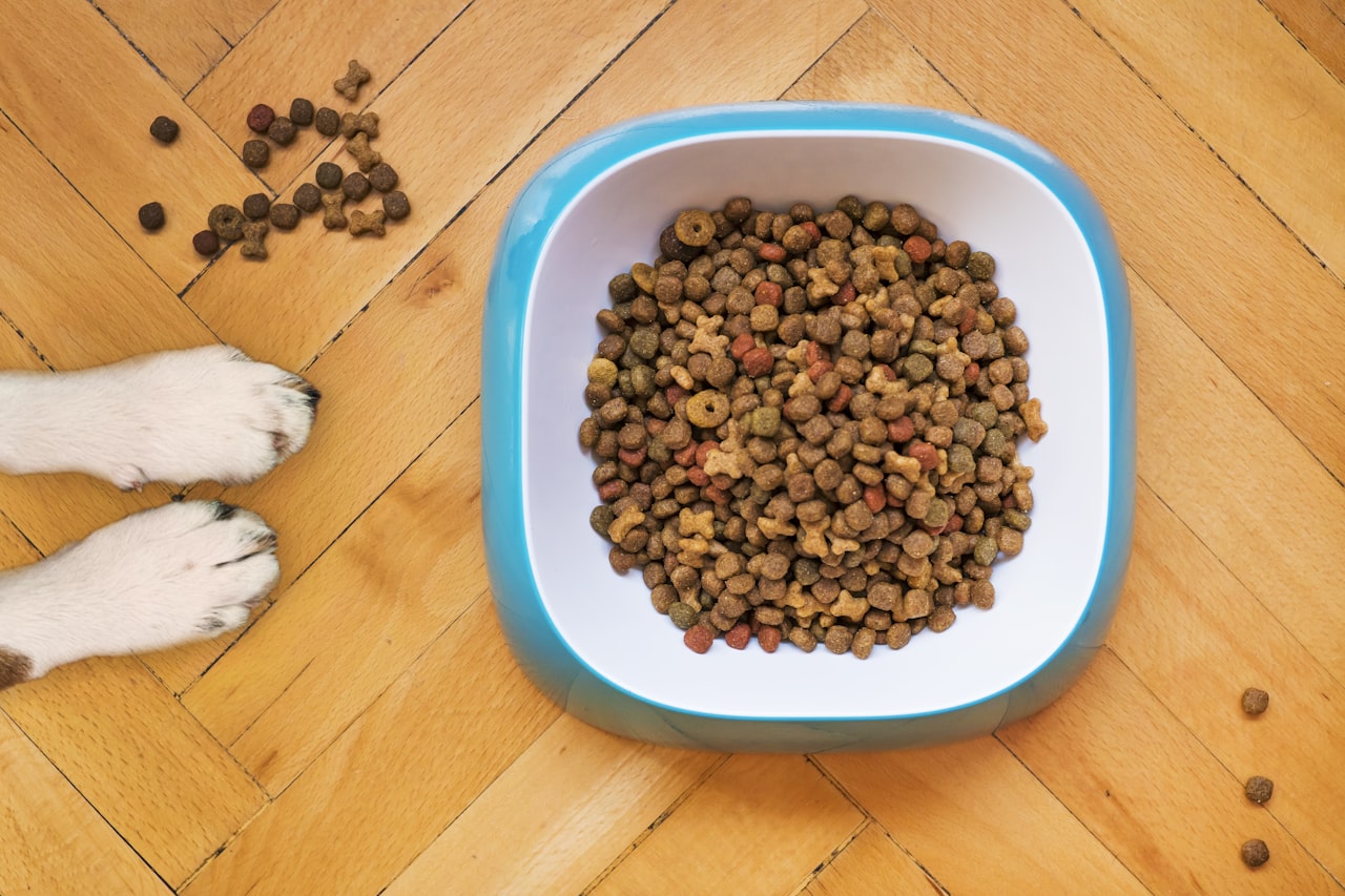 Premium kibble