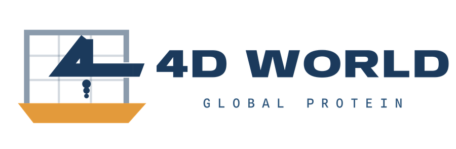 4D World
